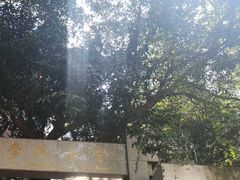-香港大学