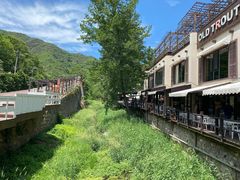 -Local泰莲庭(虹鳟鱼店)