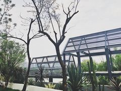 -悦哉·派对·草坪婚礼·围炉煮茶(三圣乡店)