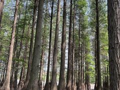 -南京金牛湖风景区