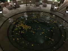 -苏州湾王焰温泉度假酒店