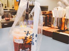 -春丽小马(济南恒隆广场店)