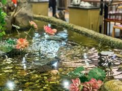 -丰圆轩粤式茶楼 . 点心粤菜(夏茅店)