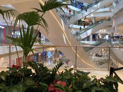 -金牌外婆家(苏州中心店)