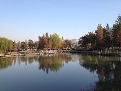 iphone_upload_pic-白塘生态植物园