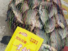 -陈氏渔具(金兴市场店)