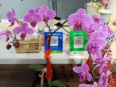 -何兮花店·气球派对鲜花店(马桥银春路万科城店)