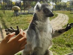 -石家庄市动物园