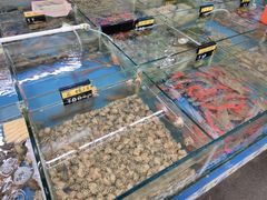 -明记海鲜大排档(巽寮湾店)