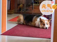 -老四川平头酸菜鱼(衙前店)