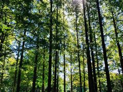 -国家植物园南园