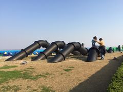 -南汇嘴观海公园