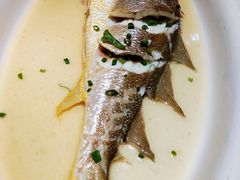 东海野生大黄鱼-石浦大酒店(百丈店)