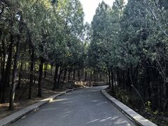 -千佛山风景名胜区