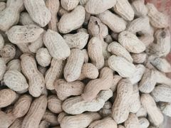 蒜味花生-栗满秋(燕丰西坝河店)