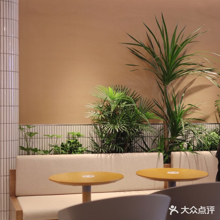 奈雪君尚天虹店新开业，一起薅羊毛