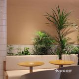 奈雪君尚天虹店新开业，一起薅羊毛