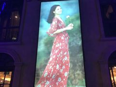 -邓丽君音乐主题餐厅