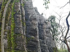 -山王坪喀斯特国家生态公园