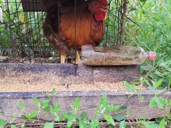 -陕西省红河谷森林公园