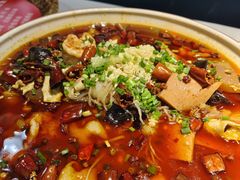 -蜀龙阁· 龍头水煮鱼(天坛店)