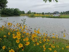 -金谷域澳洲庄园