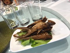 -瑞福园联谊餐室(茂名南路店)