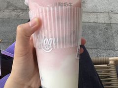 -成都动物园