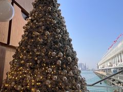 -海港城