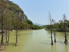 -星湖旅游景区七星岩