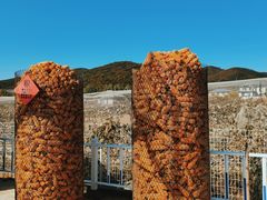 -大连北马山庄