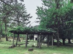 -奈良公园