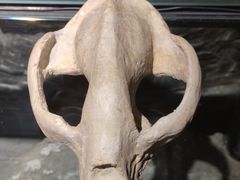 -重庆中国三峡博物馆(重庆博物馆)