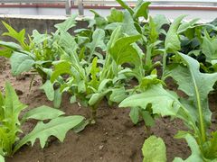 -龚印记牛骨牛杂屋·四代传承(珠影星光城店)