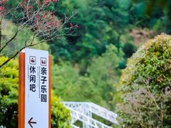 -龙岩梅花山虎园