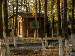 -艾溪湖湿地公园