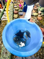 -钓虾工场·钓虾·赶海(回龙观店)