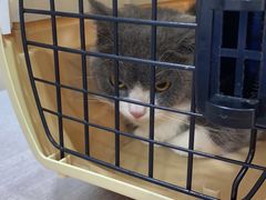 -荔康动物医院(康王北路店)