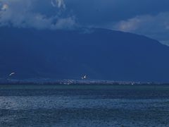 -苍山感通索道