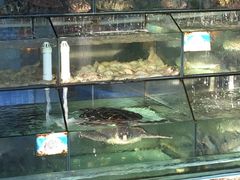 -老船长海鲜大排档(银滩店)