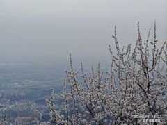 -香山公园