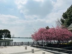 -石湖景区