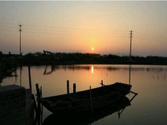 android_upload_pic-海鸥岛