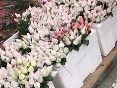 -东方鼎信农副产品交易中心