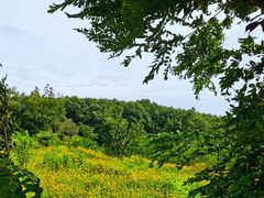 -南京市无想山景区