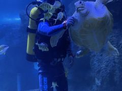-左海海底世界