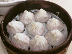 -莱莱小笼·乔艾