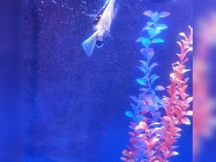 -青岛嘉年华主题乐园