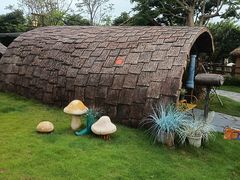 -珠海海泉湾神秘岛亲子乐园