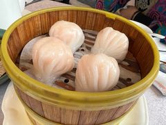 -新南华大酒店(长寿店)